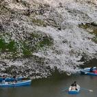 5c8a9fdc2300005400e6d428