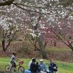 5c8a9fdc250000bd05816757