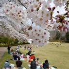 5c8a9fdc3b000054066c3b1f