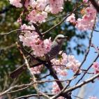 5c8a9fdd2300005300e6d42a