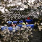 5c8a9fdd2500000704c94cf9