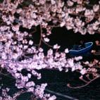 5c8a9fdd250000520681675b