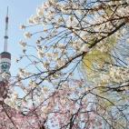 5c8a9fde2500000704c94cfd