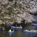 5c8a9fde2300003000e6d42c