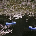 5c8a9fdf3b000054066c3b23