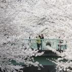 5c8a9fdf3b000072066c3b25