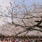 5c8a9fdf230000dd04235c53