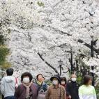 5c8a9fe020000045046f68b7