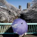 5c8a9fe02300005400e6d430