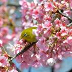 5c8a9fe02300007f01235c56