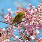 5c8a9fe12500005806816765