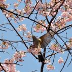 5c8a9fe224000093024c1c53