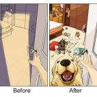 5c8b3d5a2400004205a46a34