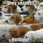 5c8ad61420000045046fd716