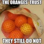 5c8ad615230000040123cc82