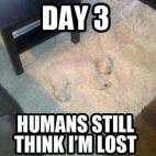 5c8ad6152400006c05a3c733