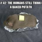 5c8ad6162500000d04c9bca9