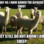 5c8ad617230000040123cc86