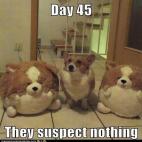 5c8ad6173b000054066ca9f2