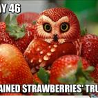 5c8ad617360000c81a6c2912