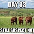 5c8ad618360000e01c6c2914