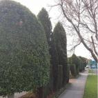 5c8ad6182300003000e743b9