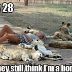 5c8ad6182000009e046fd71b