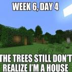 5c8ad61824000093024c8b4b