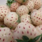 Esta fruta blanca con pepitas rojas es un cruce entre fragaria chiloensis (una variedad de fresas que se encuentra en Hawai y en la costa del Pacífico) y la fresa clásica. La pineberry, como se la conoce en inglés, es más pequeña que las fr...