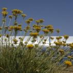 5c8b3c222500000704ca5c18