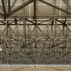 5c8b3c23360000c81a6cc6b3