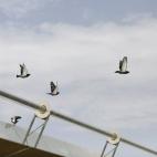 5c8b3c2324000093024d2b77