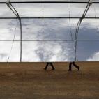 5c8b3c243b000002076d47d0