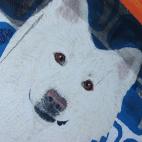 5c8aeb3c2400000a05a3e6cd