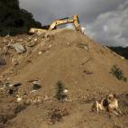 5c8b0be1230000d50423fcc4