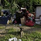 5c8b0be12000009d03700726