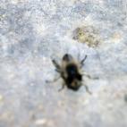 5c8aeb4024000093024cab1e