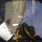 5c8aeb44250000e203c9dbf8