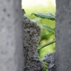 5c8aeb4a22000033001a178e