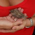 5c8aeb4b2500000d04c9dc04