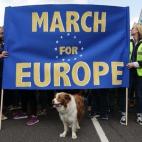 5c8a5f1025000058068110b7