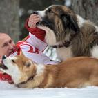 En la nieve con sus perretes