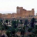 5c8aafe72300002f00e6fb03