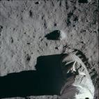 5c8a8c472500001304c92cea