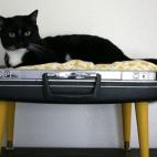 Lo que para algunos puede ser una maleta quebrada y disfuncional, para otros puede transformarse en una acogedora cama