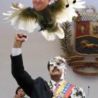 5c8ae393360000ba1a6c3d7b