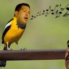 5c8ae3953b000054066cbe05