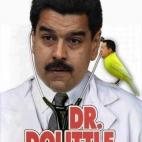 5c8ae39922000051001a0cc9