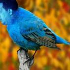 5c8ae39a2400006b054ca018