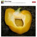 5c8b302d3b000054066d2f23